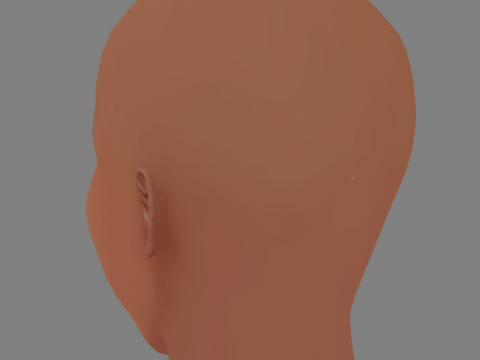 लशाना लिंच हेड - नो हेयर - गेम के लिए लो पॉली हेड 3D मॉडल