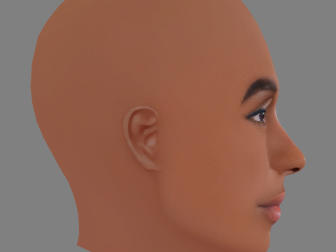 लशाना लिंच हेड - नो हेयर - गेम के लिए लो पॉली हेड 3D मॉडल