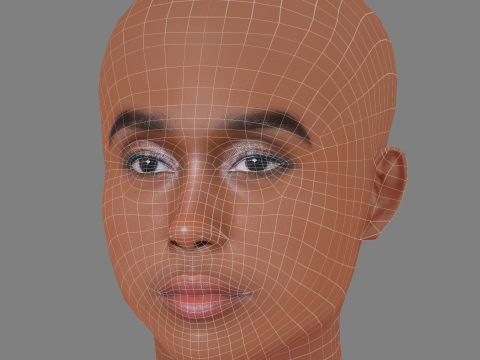 लशाना लिंच हेड - नो हेयर - गेम के लिए लो पॉली हेड 3D मॉडल