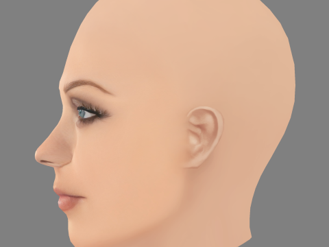 劳拉·范德沃特头 - 无头发 - 低聚游戏头 3D 模型