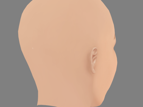 劳拉·范德沃特头 - 无头发 - 低聚游戏头 3D 模型