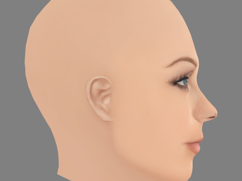 劳拉·范德沃特头 - 无头发 - 低聚游戏头 3D 模型