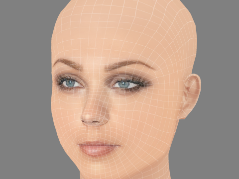 劳拉·范德沃特头 - 无头发 - 低聚游戏头 3D 模型