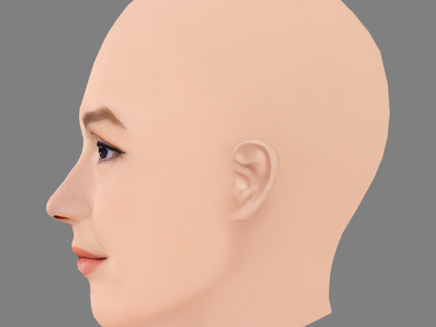 Leighton Meester Head - No Hair - Laag poly hoofd voor wild 3D Model