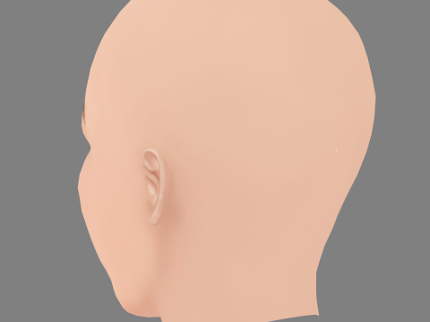 Leighton Meester Head - No Hair - Laag poly hoofd voor wild 3D Model