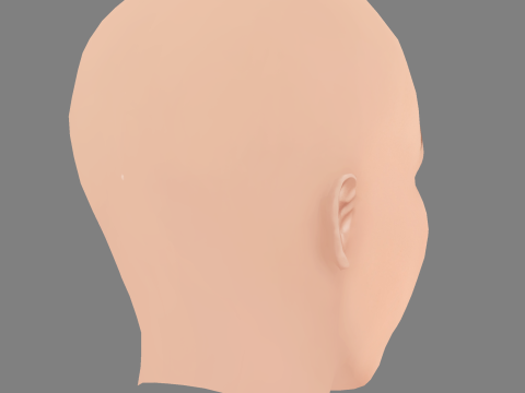 Leighton Meester Head - No Hair - Laag poly hoofd voor wild 3D Model