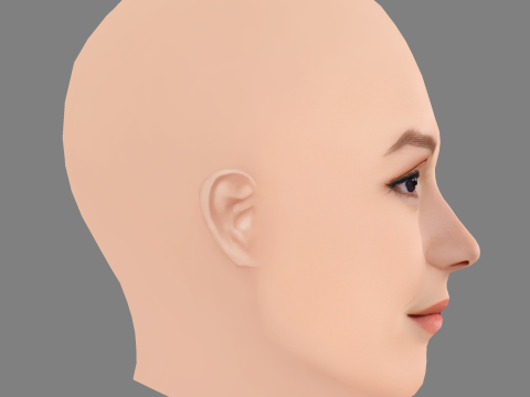Leighton Meester Head - No Hair - Laag poly hoofd voor wild 3D Model