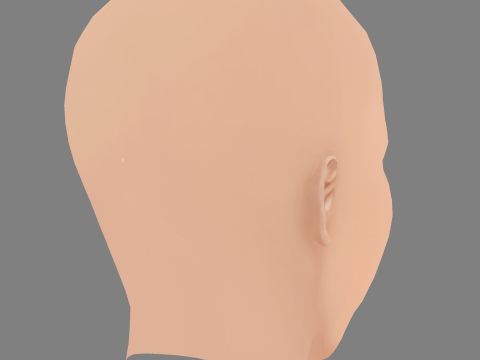 Leslie Bibb Head - 无头发 - 低聚游戏头 3D 模型