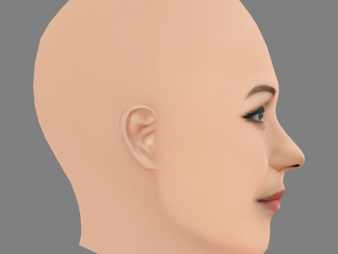 Leslie Bibb Head - 无头发 - 低聚游戏头 3D 模型