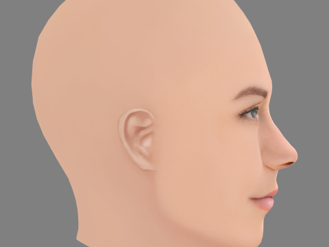 Голова Лії Макх'ю - без волосся - низькополігональна голова для гри 3D Модель