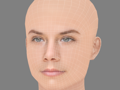 Голова Лії Макх'ю - без волосся - низькополігональна голова для гри 3D Модель