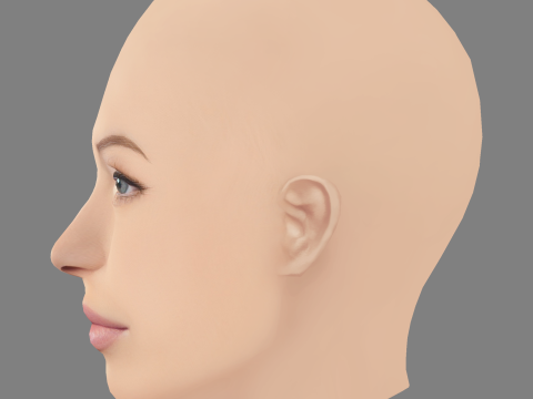 Голова Ліли Мосс - без волосся - голова з низьким полі для гри 3D Модель