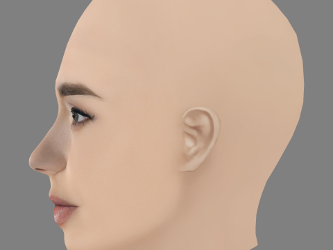 Testa di Lily Collins - Senza capelli - Testa in polietilene bassa per il gioco Modello 3D