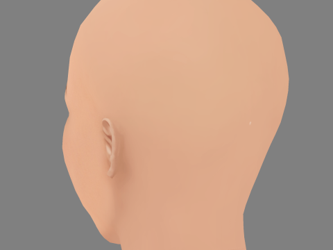 Lily Gladstone Head - No Hair - Tête low poly pour le jeu Modèle 3D