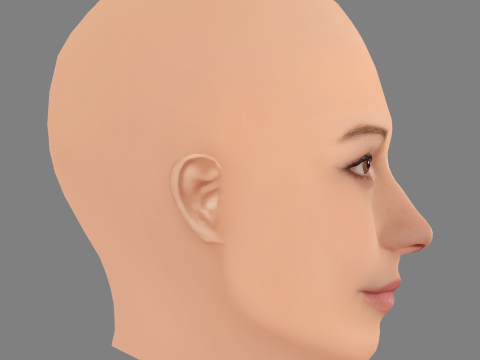 Lily Gladstone Head - No Hair - Tête low poly pour le jeu Modèle 3D