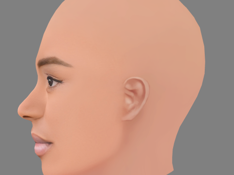 Lovie Simone Head - Tanpa Rambut - Kepala poli rendah untuk permainan Model 3D