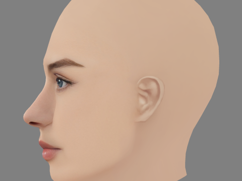 Lucy Markovic Head - No Hair - 게임용 로우 폴리 헤드 3D 모델