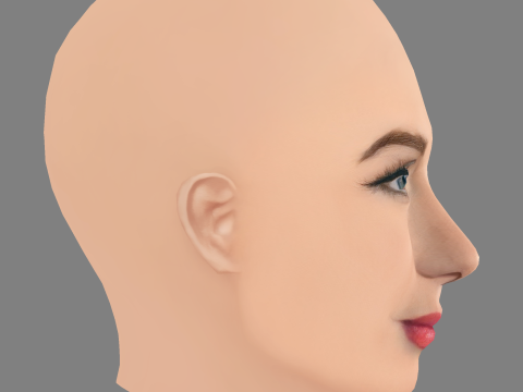 Голова Лінн Коллінз - без волосся - низькополігональна голова для гри 3D Модель