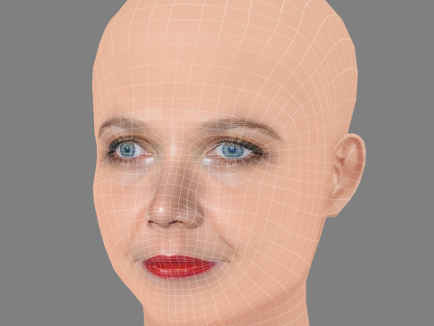 Maggie Gyllenhaal Kafası - Saçsız - Oyun için düşük poli kafa 3D Model