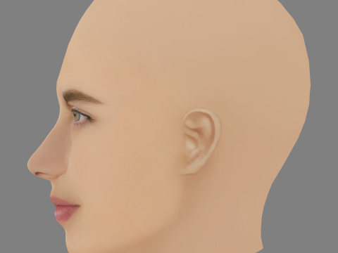 Głowa Marii Gabrieli de Faria - No Hair - Głowa Low Poly do gry Model 3D