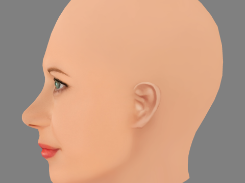 Meg Ryan Head - Saçsız - Oyun için düşük poli kafa 3D Model