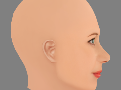Meg Ryan Head - Saçsız - Oyun için düşük poli kafa 3D Model
