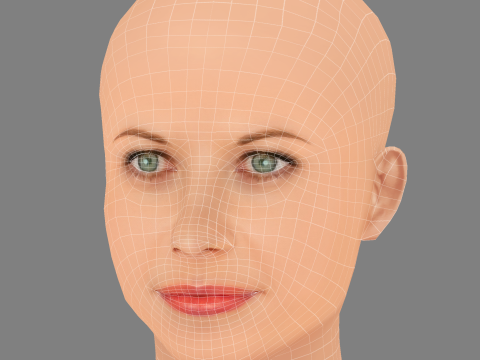 Meg Ryan Head - Saçsız - Oyun için düşük poli kafa 3D Model
