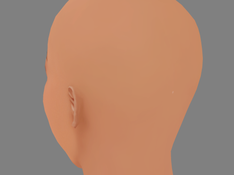 Megan Thee Stallion Head - 无头发 - 低聚游戏头 3D 模型