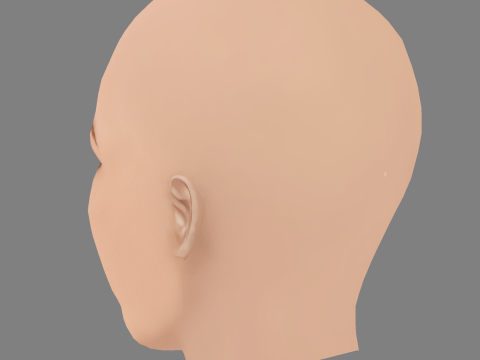 Голова Мелинды МакГроу - Без волос - Низкополигональная голова для игры 3D Модель