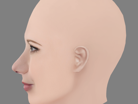 Melissa Gilbert Head - No Hair - Low poly head para jogo Modelo 3D