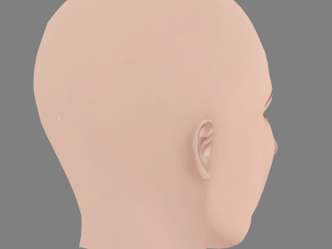 Melissa Gilbert Head - No Hair - Low poly head para jogo Modelo 3D