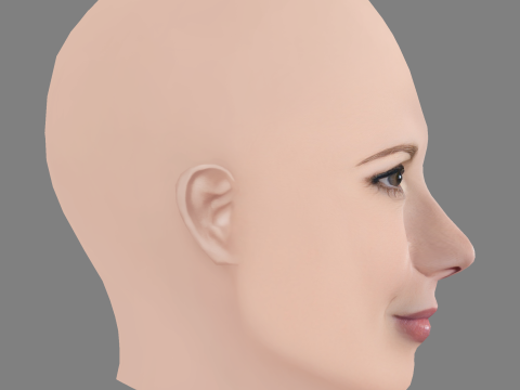 Melissa Gilbert Head - No Hair - Low poly head para jogo Modelo 3D