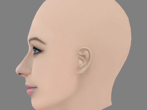 Testa di Michelle Trachtenberg - Senza capelli - Testa in poliestere basso per il gioco Modello 3D