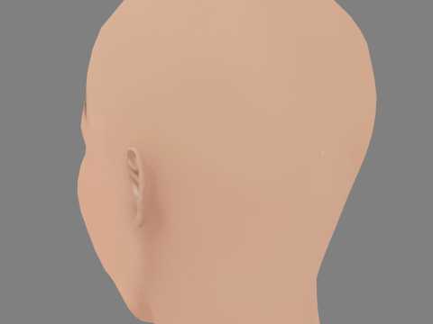 Miranda Otto Head - Senza capelli - Testa in polietilene bassa per il gioco Modello 3D