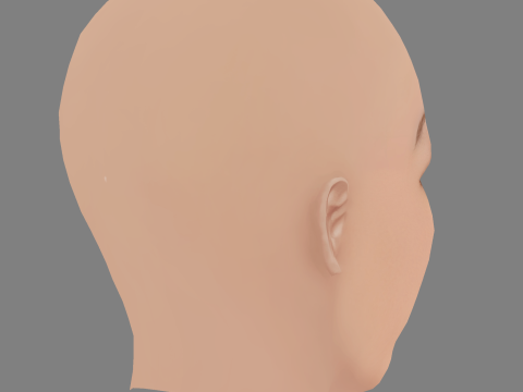 Miranda Otto Head - Senza capelli - Testa in polietilene bassa per il gioco Modello 3D