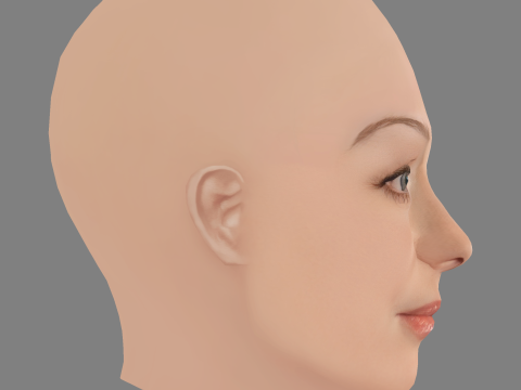 Miranda Otto Head - Senza capelli - Testa in polietilene bassa per il gioco Modello 3D