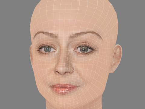 Miranda Otto Head - Senza capelli - Testa in polietilene bassa per il gioco Modello 3D