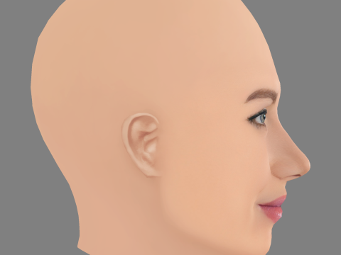 Mireia Lalaguna Kafası - Saçsız - Oyun için düşük poli kafa 3D Model