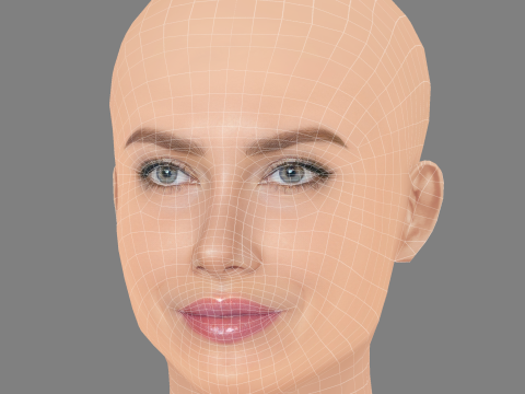 Mireia Lalaguna Kafası - Saçsız - Oyun için düşük poli kafa 3D Model