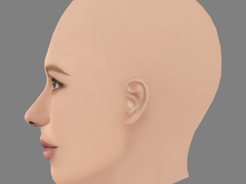 Testa di Naomi Watts - Senza capelli - Testa in polietilene bassa per il gioco Modello 3D