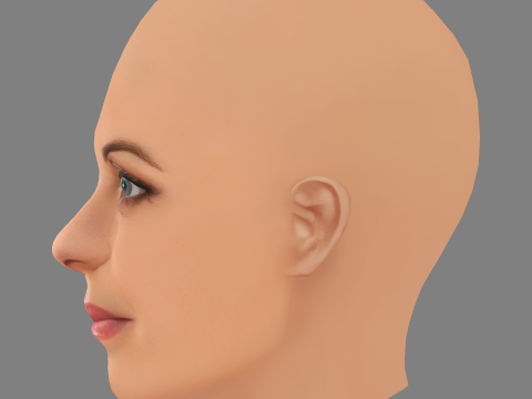 Natalia Tena Head - No Hair - Laag poly hoofd voor wild 3D Model