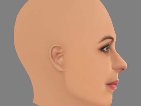 Natalia Tena Head - No Hair - Laag poly hoofd voor wild 3D Model