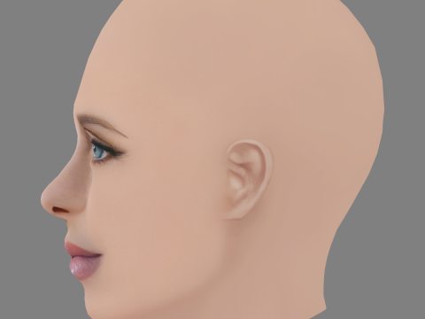 니키 힐튼 헤드 - 머리카락 없음 - 게임용 로우 폴리 헤드 3D 모델