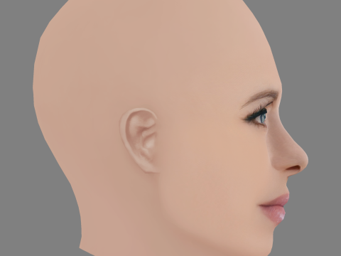 니키 힐튼 헤드 - 머리카락 없음 - 게임용 로우 폴리 헤드 3D 모델