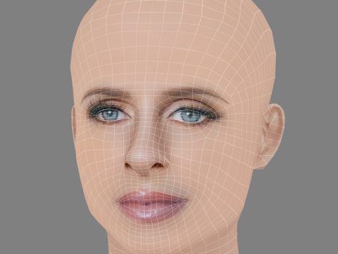 니키 힐튼 헤드 - 머리카락 없음 - 게임용 로우 폴리 헤드 3D 모델