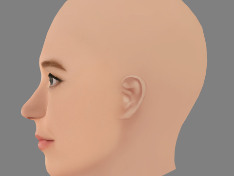 Nicole Brydon Bloom Head - No Hair - ゲーム用の低ポリヘッド 3Dモデル