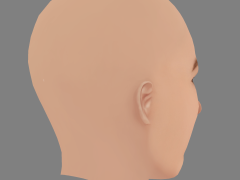 Nicole Brydon Bloom Head - No Hair - ゲーム用の低ポリヘッド 3Dモデル