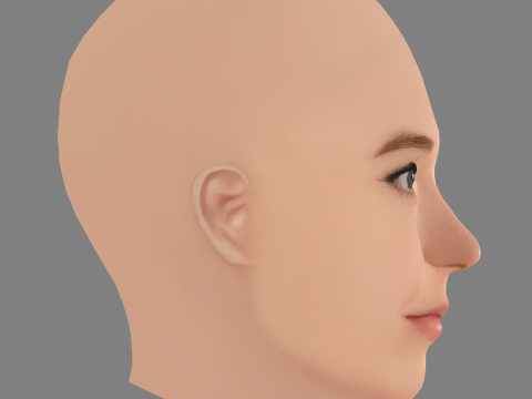 Nicole Brydon Bloom Head - No Hair - ゲーム用の低ポリヘッド 3Dモデル