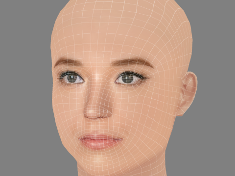 Nicole Brydon Bloom Head - No Hair - ゲーム用の低ポリヘッド 3Dモデル