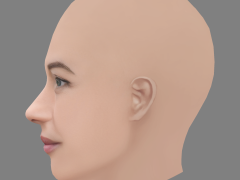 Olga Kurylenko Head - Sem cabelo - Cabeça baixa poli para jogo Modelo 3D